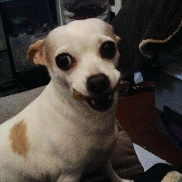 Meet your Posher, Tina - Picture 2 of 15